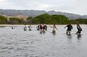PA_0080